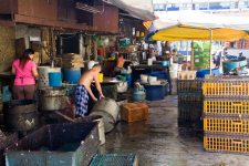 <p>Penang<br /><br /> </p>
