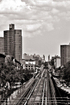 <p>New York</p><p> </p>