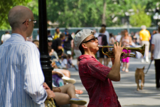 <p>New York</p>