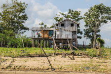 <p>Amazonas</p>