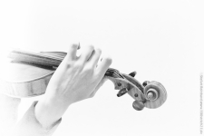 <p>Hands on Violine</p>