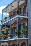 <p>New Orleans</p>