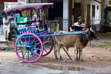 <p>Sri Lanka<br /><br /> </p><p> </p>