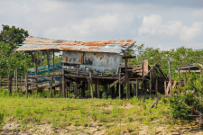 <p>Amazonas</p>