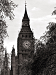 <p>London</p><p> </p>