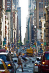 <p>New York</p><p> </p>
