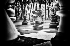 <p>Chess</p>