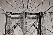 <p>New York</p><p> </p>