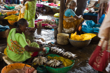 <p>New Mangalore</p>
