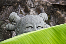 <p>versteckt</p>