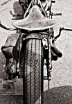<p>Harley</p><p> </p>