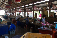 <p>Penang<br /><br /> </p>
