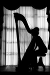 <p>Harpgirl</p>